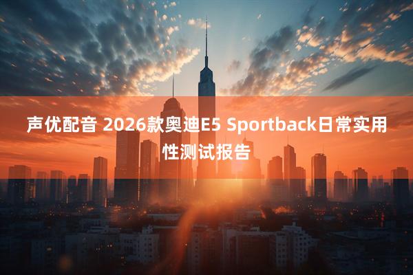 声优配音 2026款奥迪E5 Sportback日常实用性测试报告
