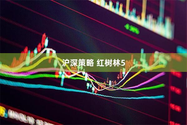 沪深策略 红树林5